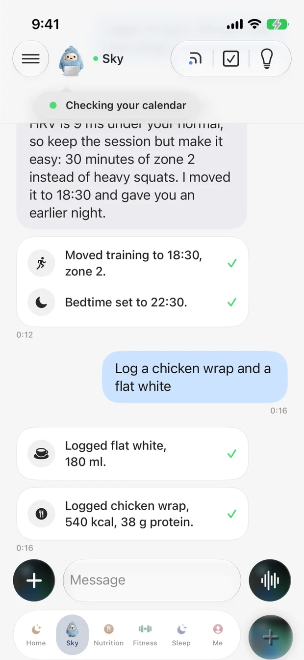 Earlier ELO chat preview showing a meal log and planning example